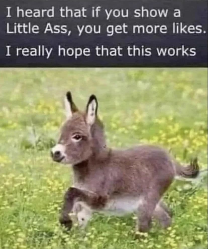 QmXij5pn61PKMTYB7iTjLTx3pSgoXwQxNob7eiDwFXQkp6
