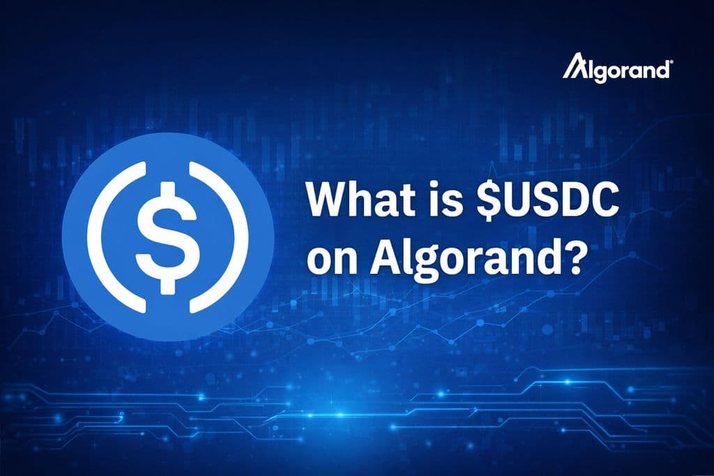 Qmaq7NZfaxxHAasZJQJAuWM5dK2JJtQE7AWWgcTzxJqNvm