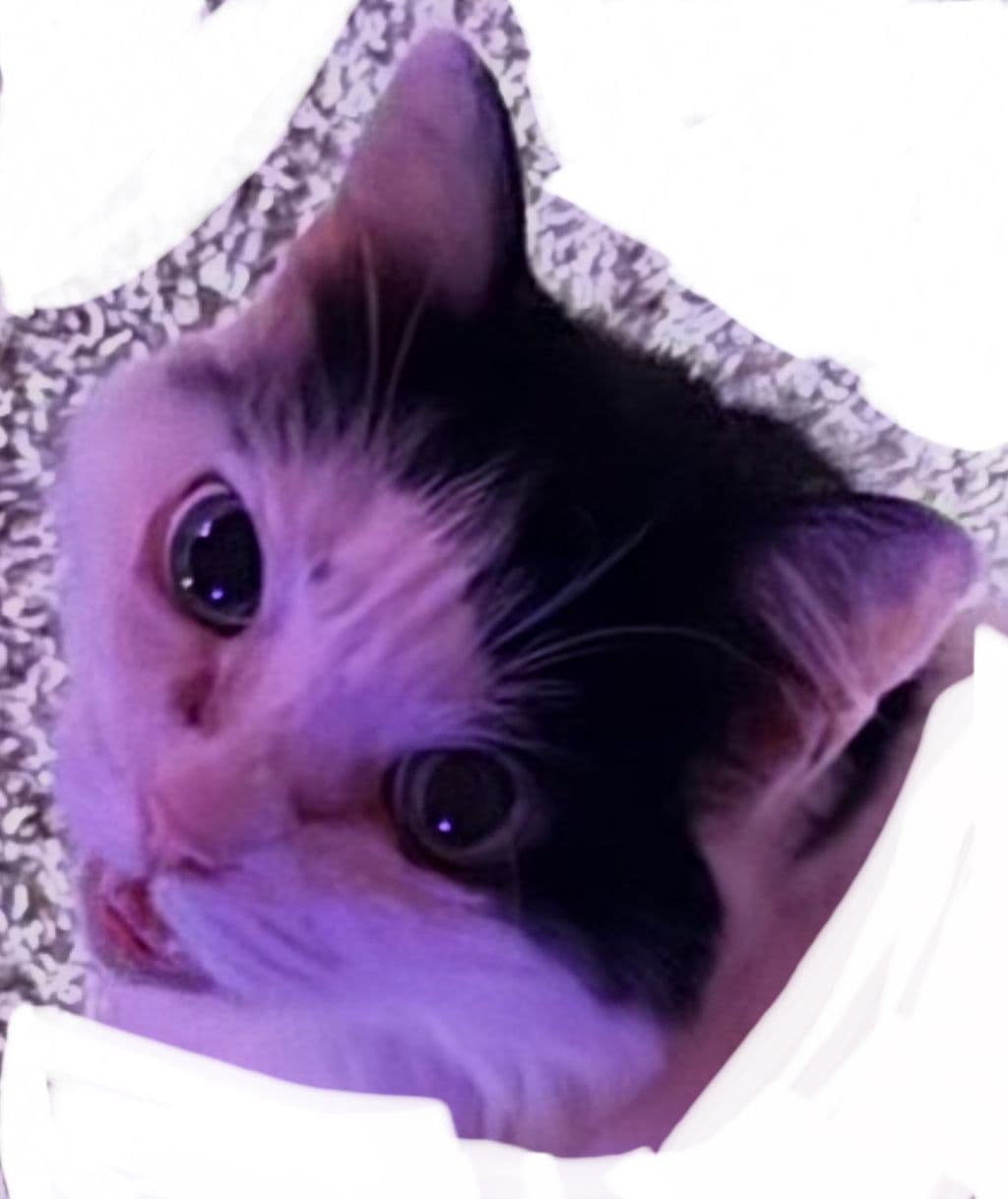 Qmbiuh7j74wDwwdVmnrfX2ceg64z4L15xWRCTs6iKYDRue